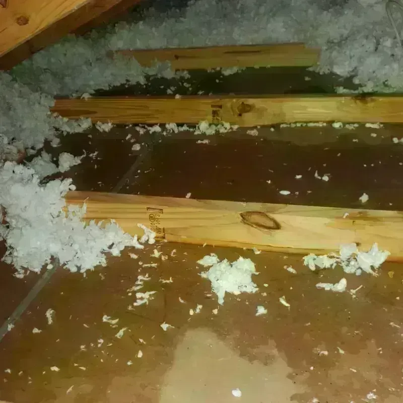 Attic Water Damage in Shackelford, CA